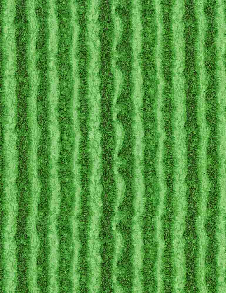 WATERMELON SKIN