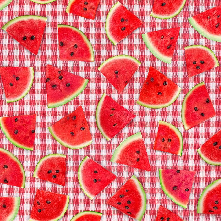WATERMELON SLICE ON PLAID