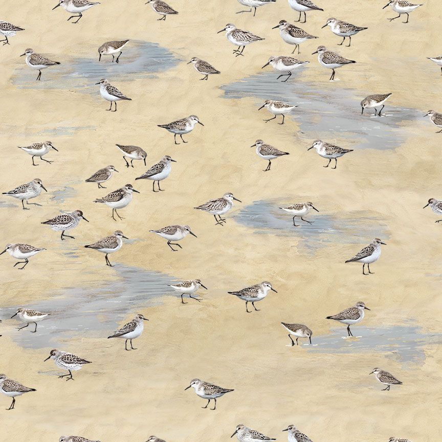 SANDPIPERS