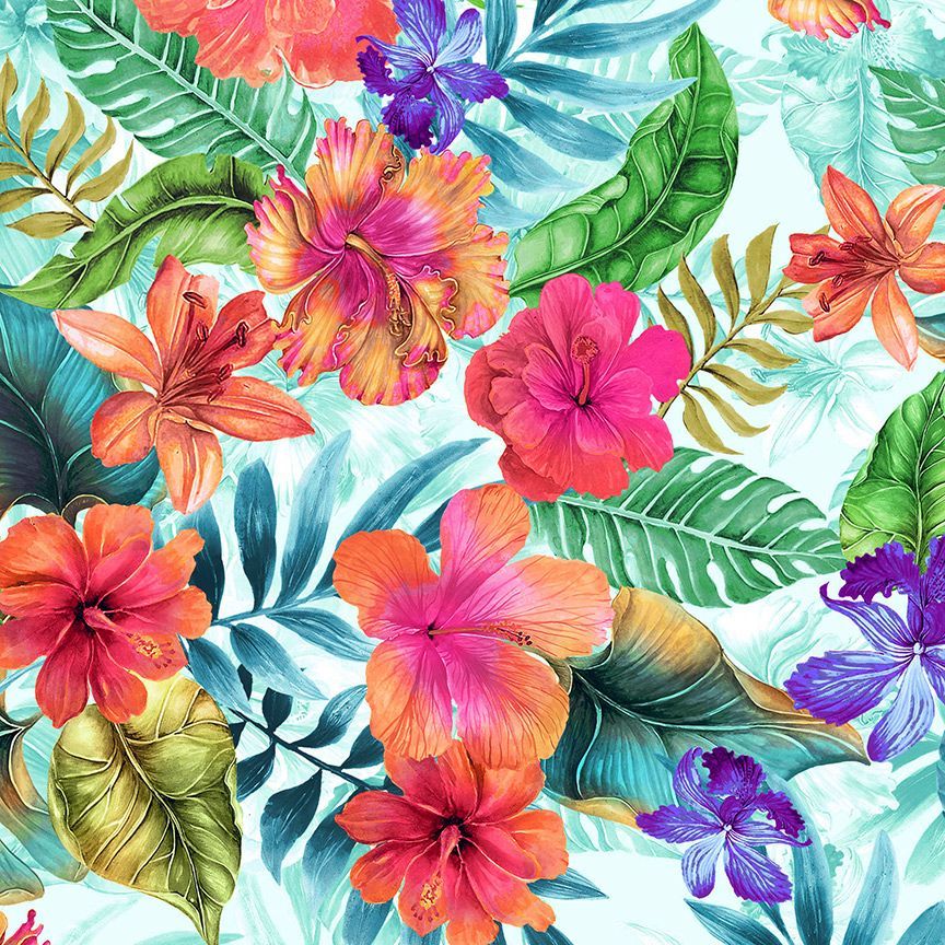 HIBISCUS