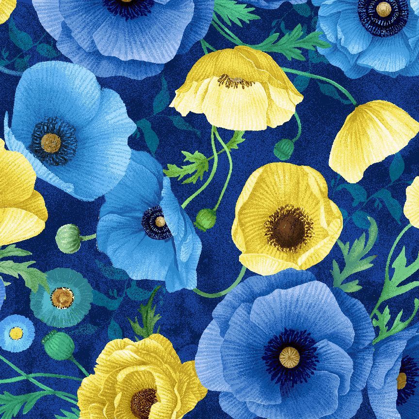 POPPY FOCAL