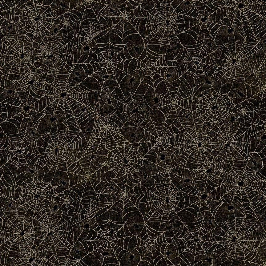 SHADOWY SPIDER WEBS