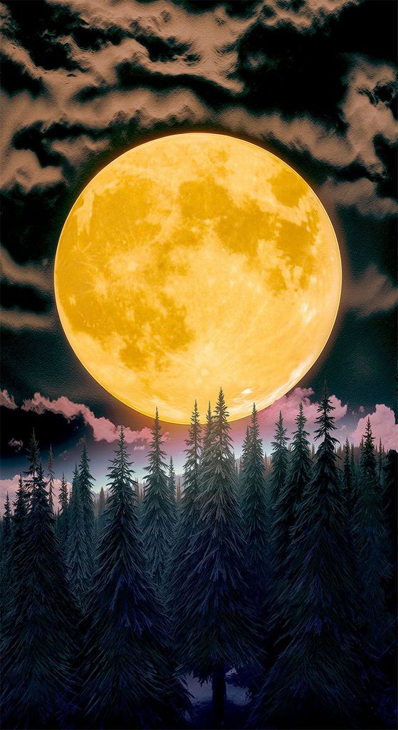 SUPER MOON PANEL 24"