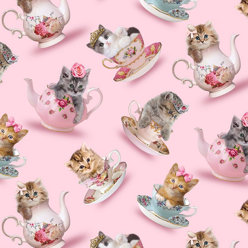 TEACUP CATS