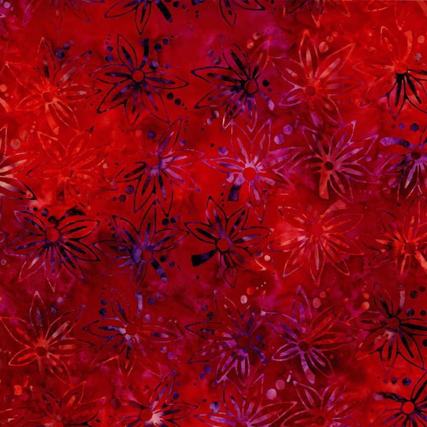 TIGER LILLY
