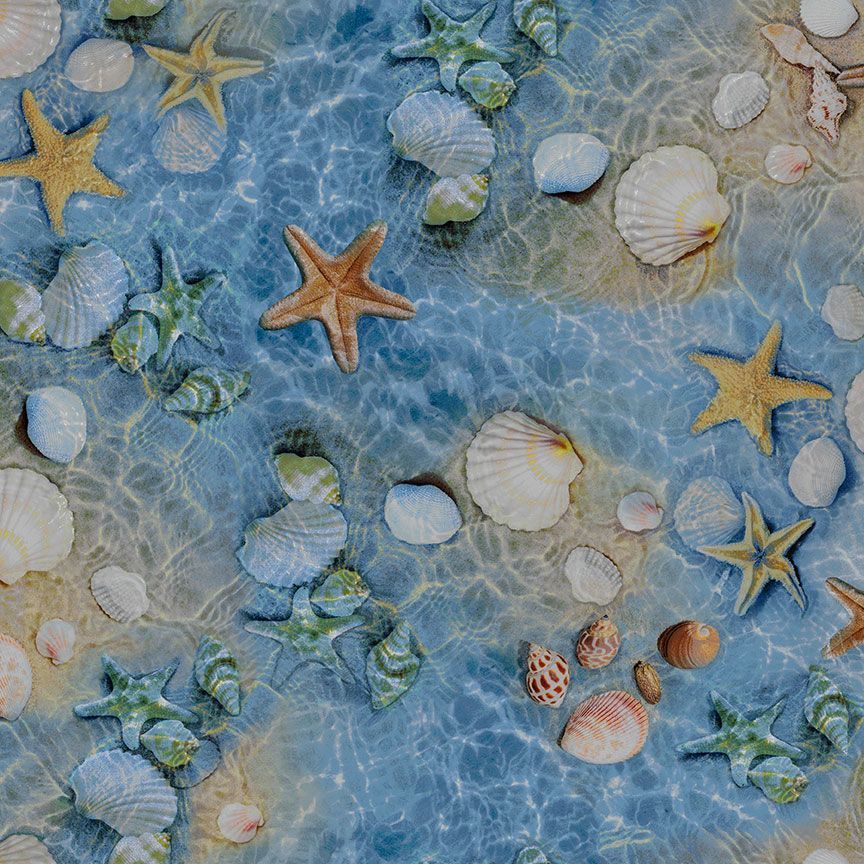 SHELLS & STARFISH