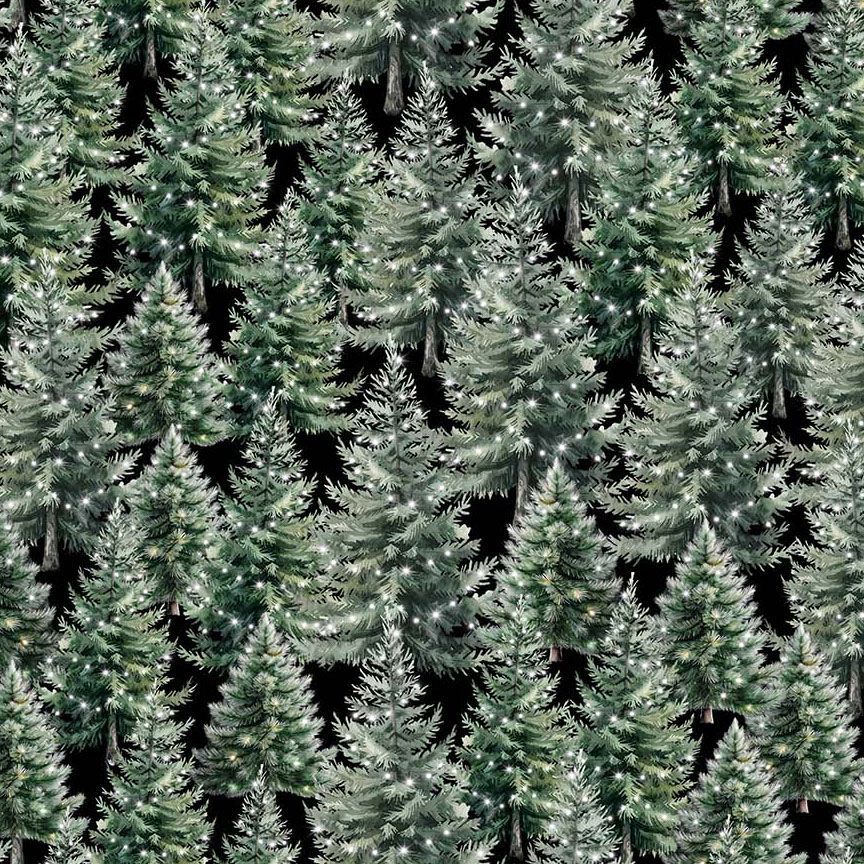 WINTER EVERGREEN
