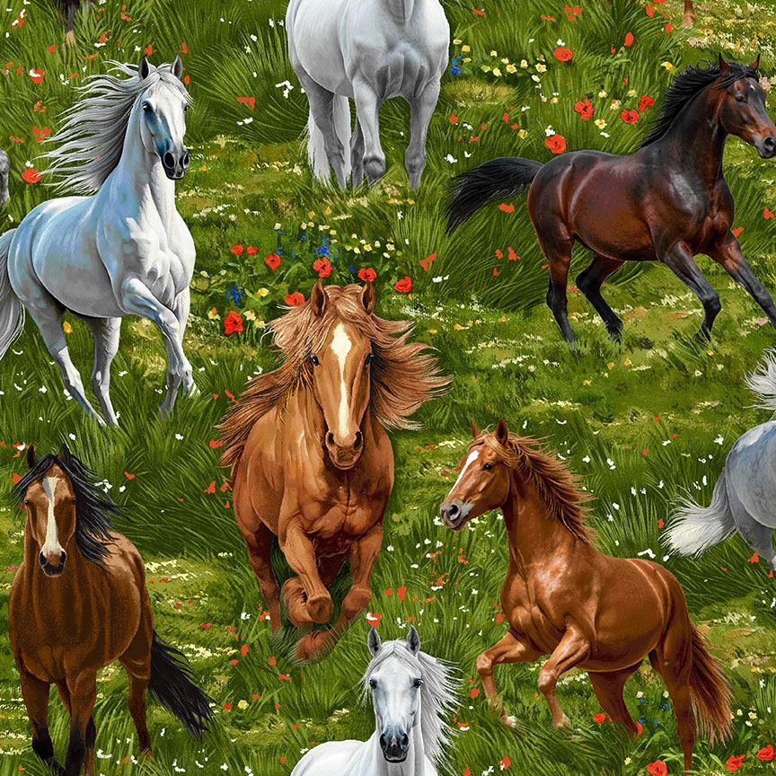 RUNNING WILD HORSES