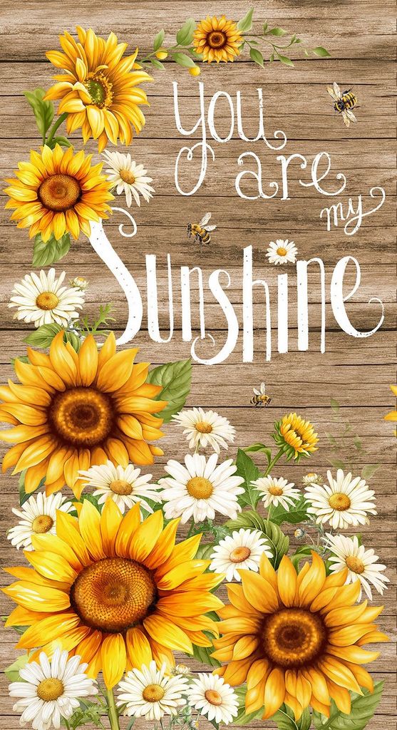 YOU ARE MY SUNSHINE PANEL 24"