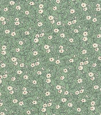 20342-green