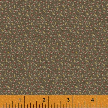 29520-5