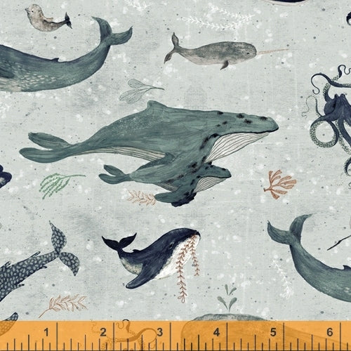 Whales