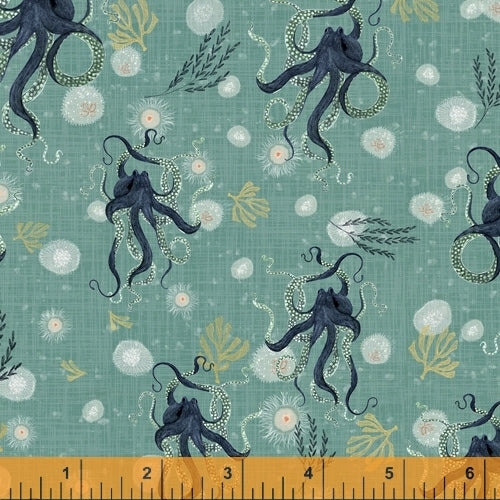 Octopus