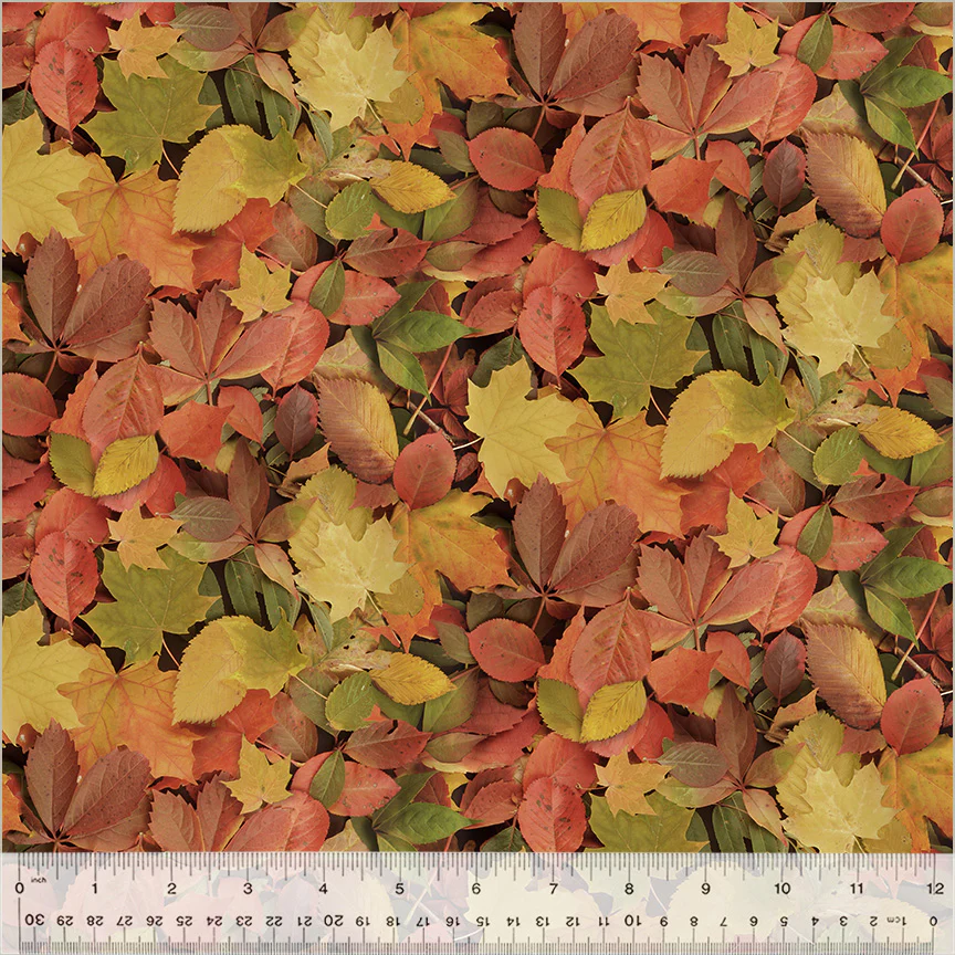 Autumn Splendor