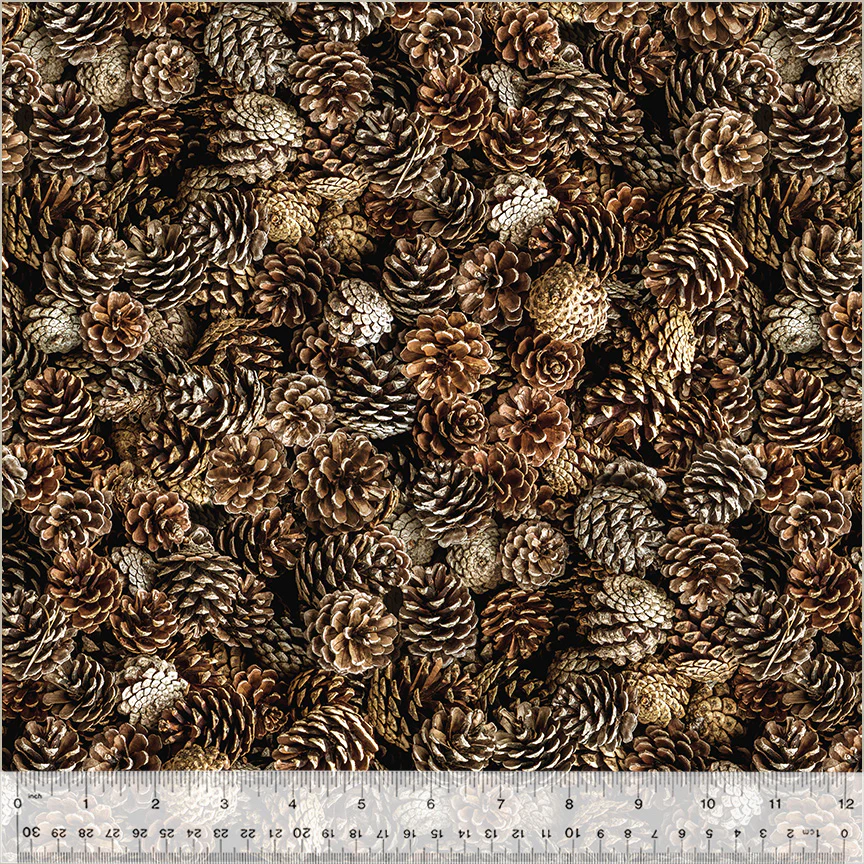 Cones Of Pine