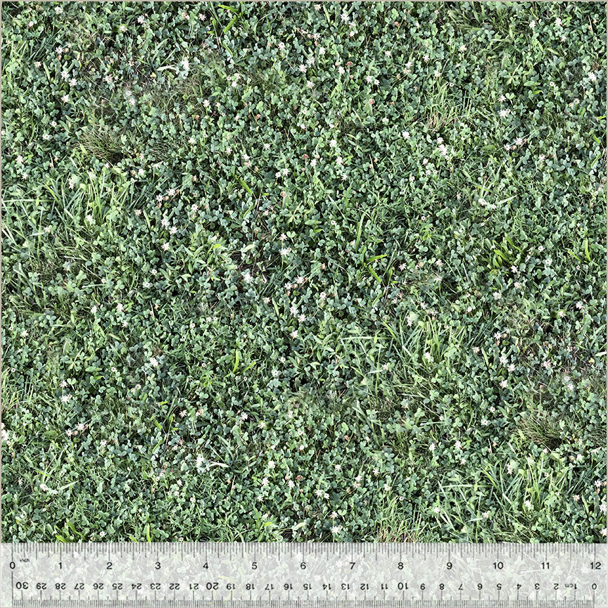 Splendor In The Grass