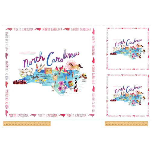 North Carolindia Panel
