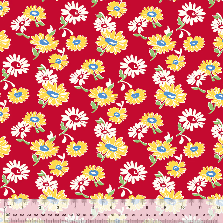 Tossed Daisies