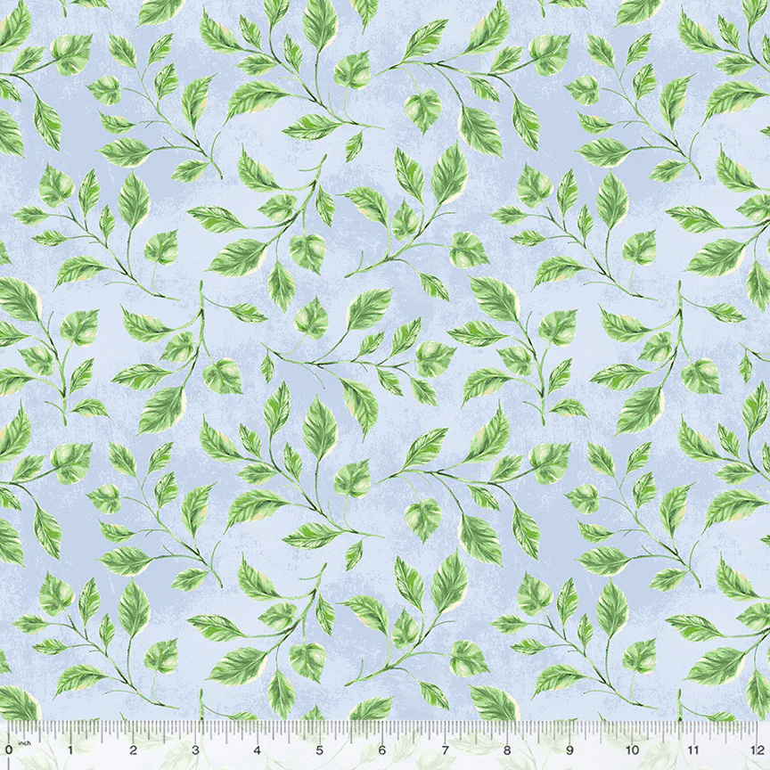 Leaves