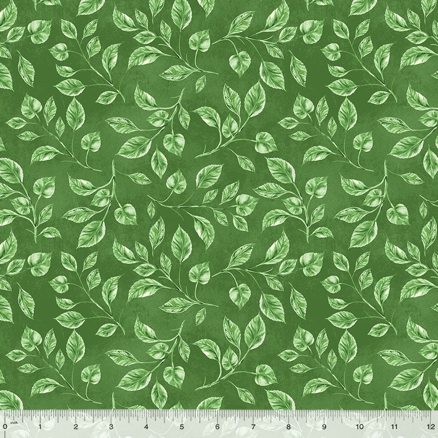 Leaves