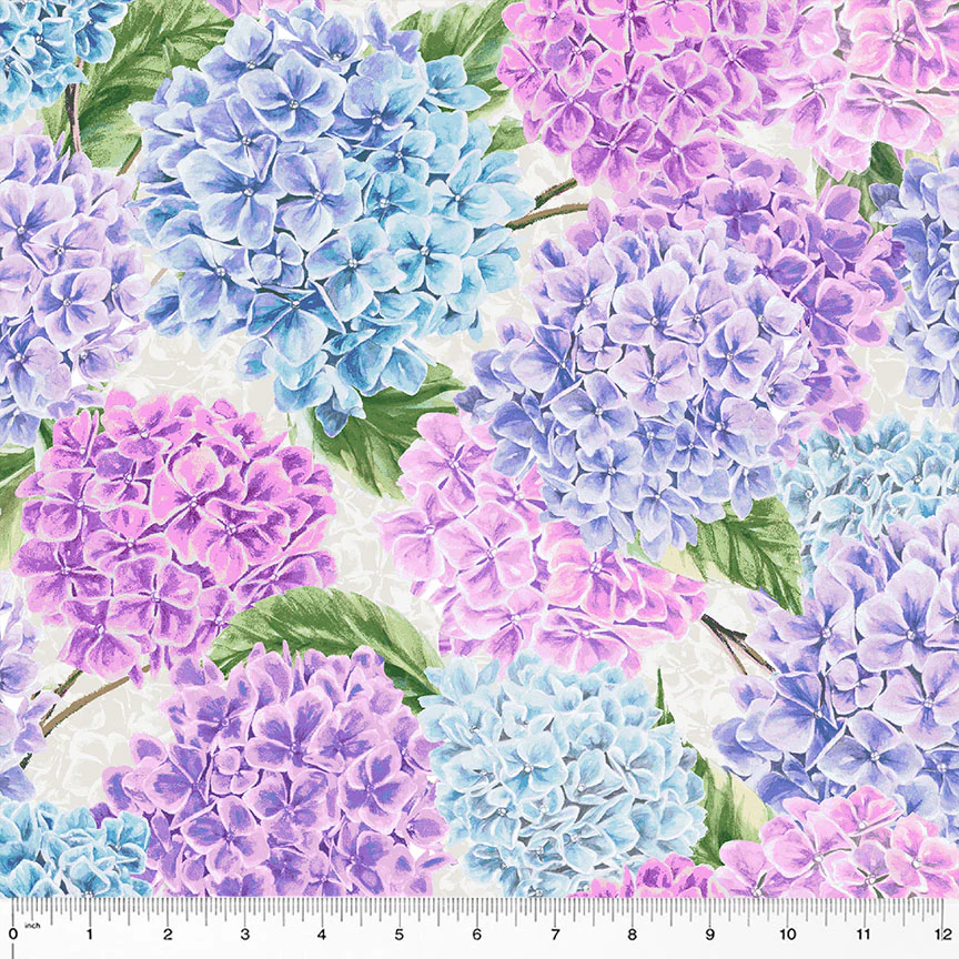 Hydrangeas in Bloom