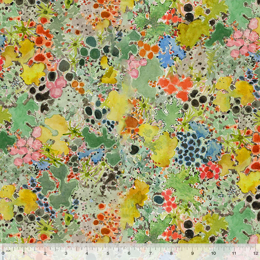 Lichen