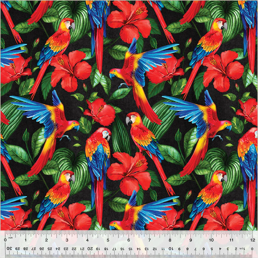 Macaws