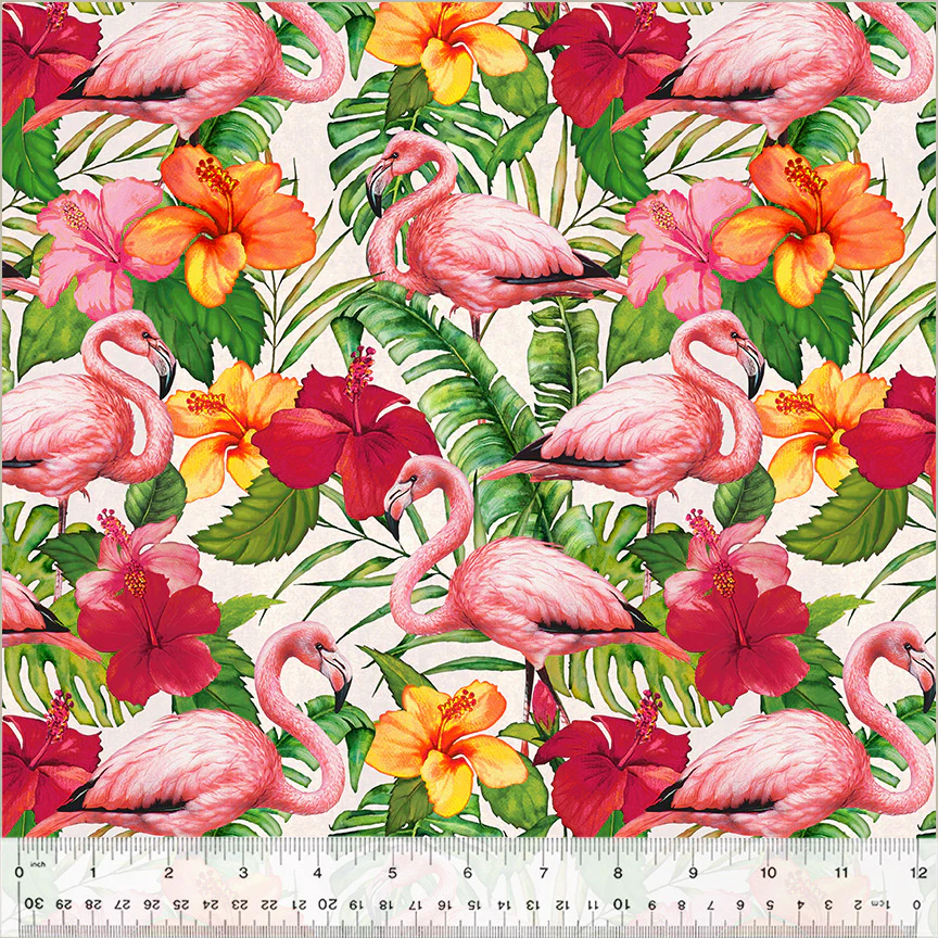 Flamingos