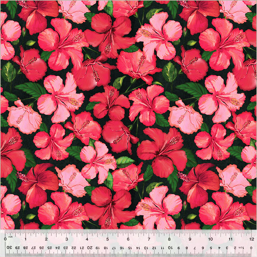 Hibiscus