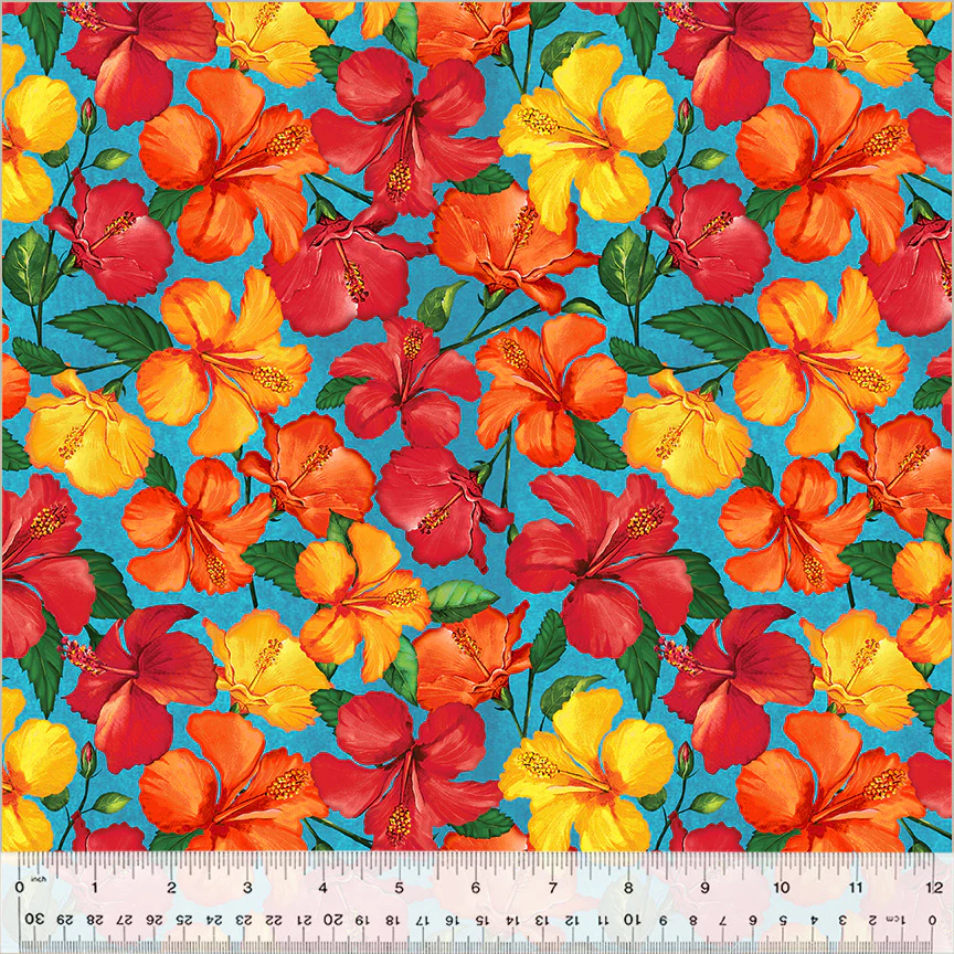 Hibiscus