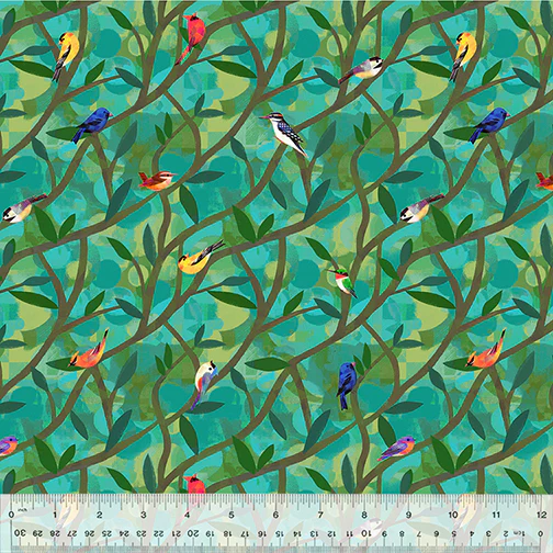 North American Birds