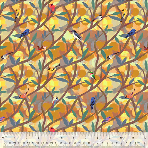 North American Birds