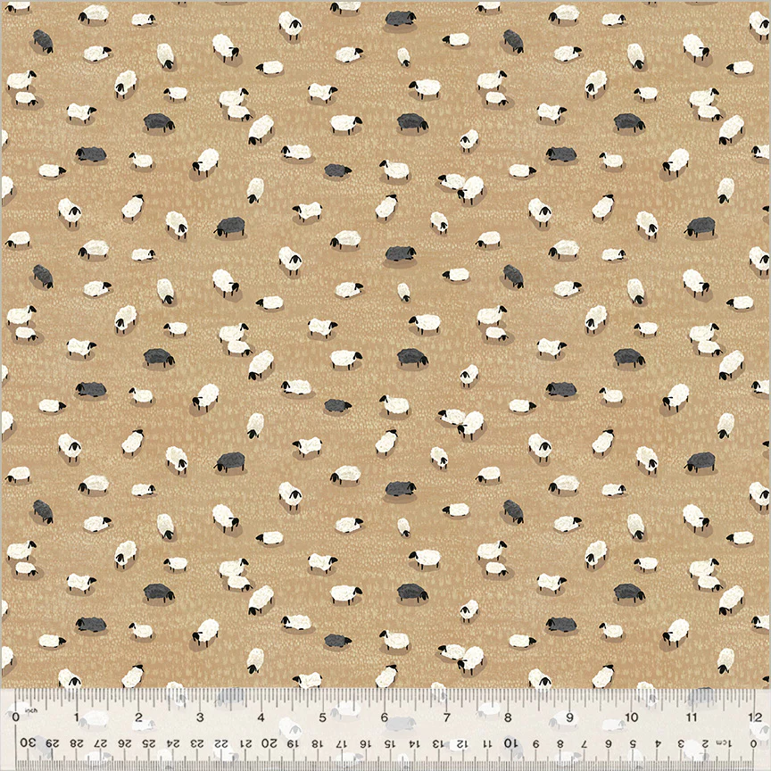 Sheep