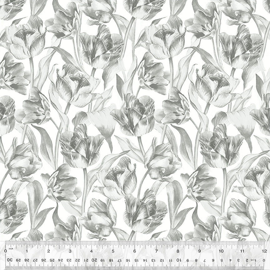 Packed Tulips