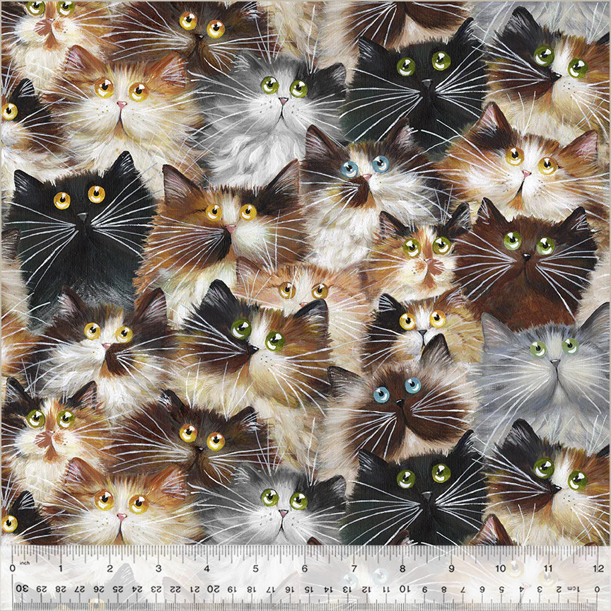 Cat Pack