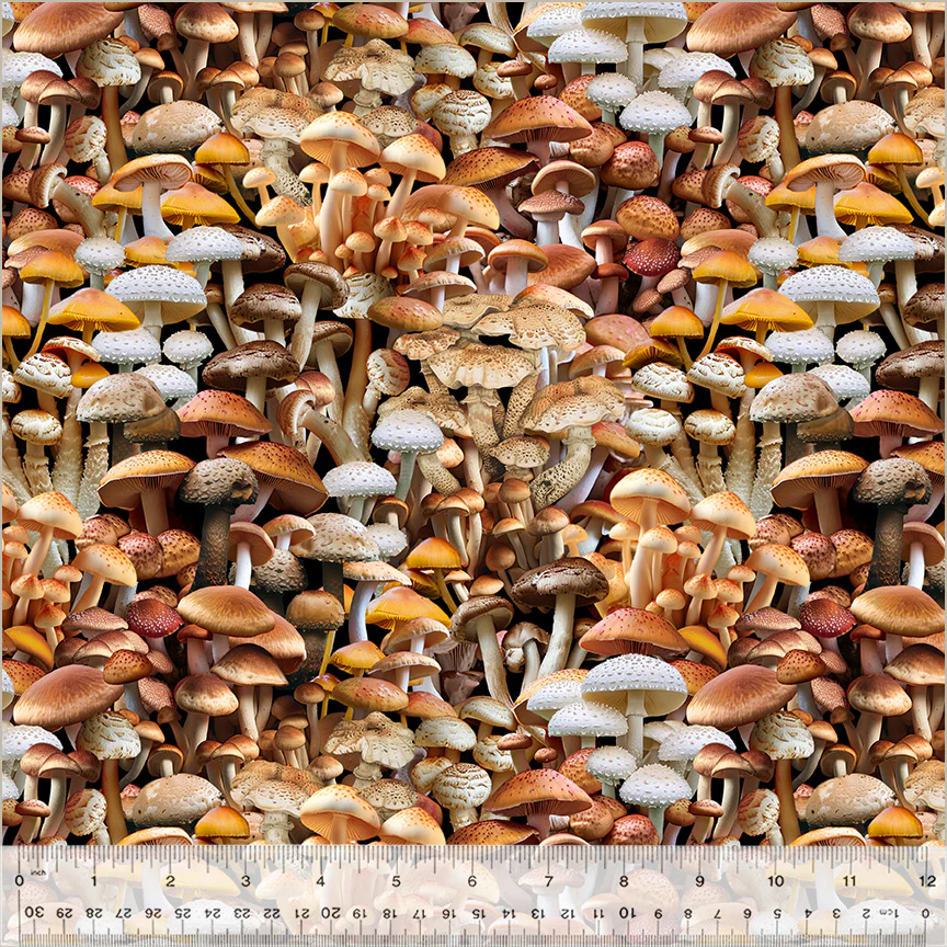 I'm a Fungi