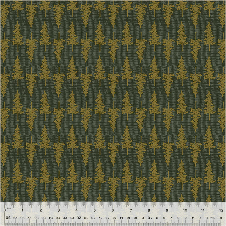 Ponderosa