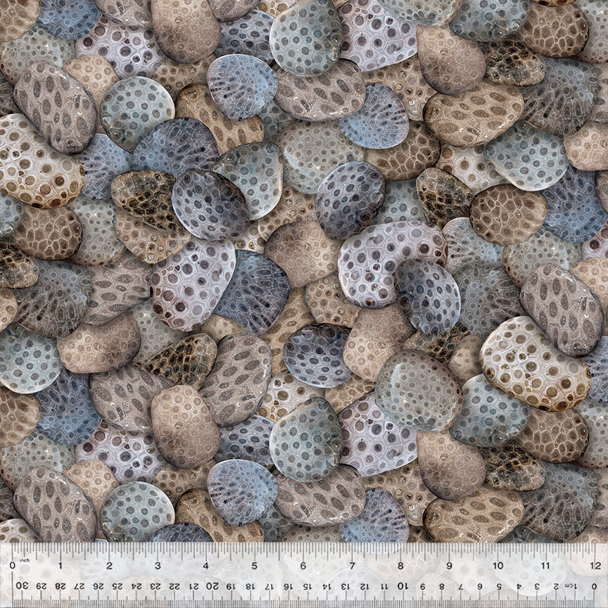 Petoskey Stones