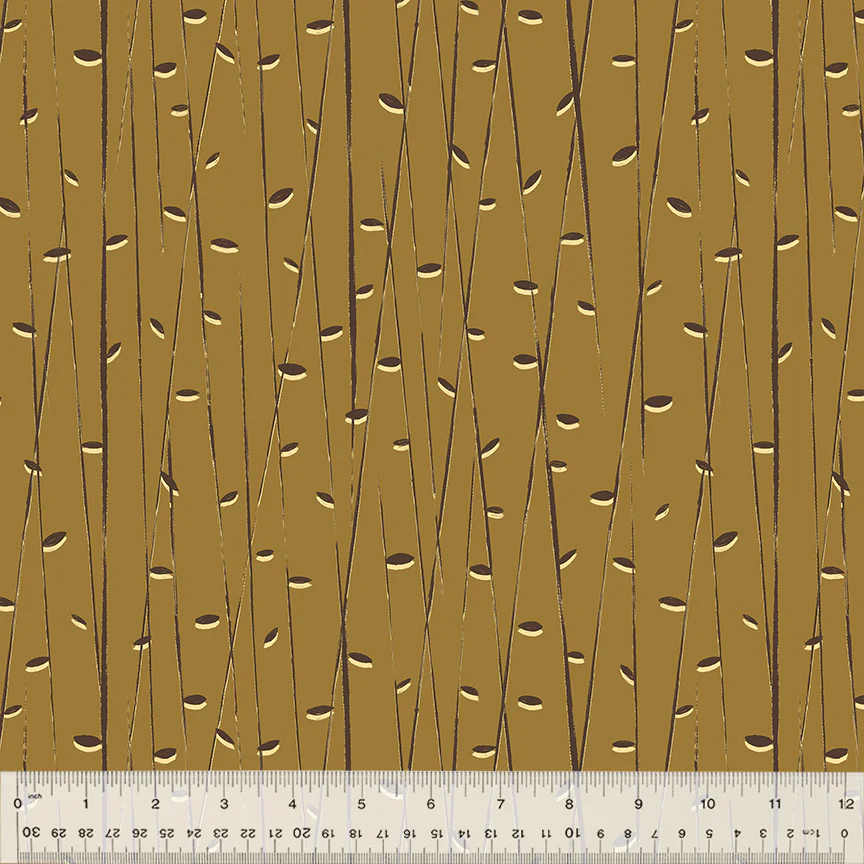 Bamboo