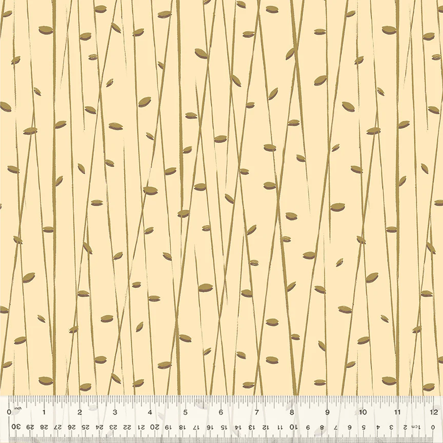 Bamboo