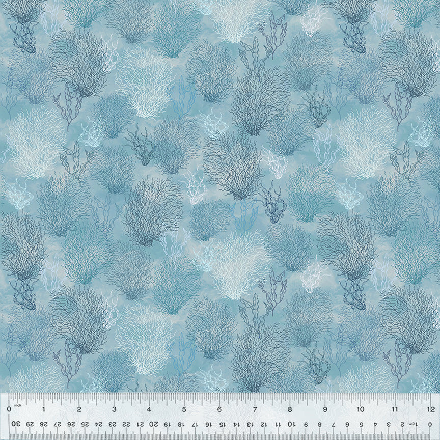 Coral Reef