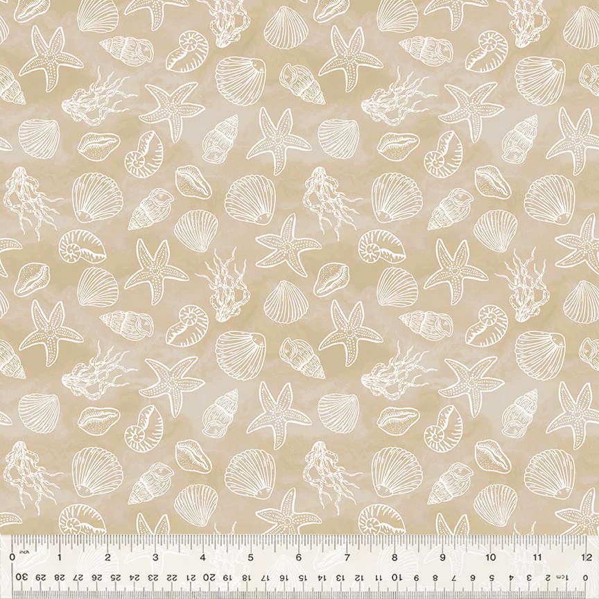 Shell Collection