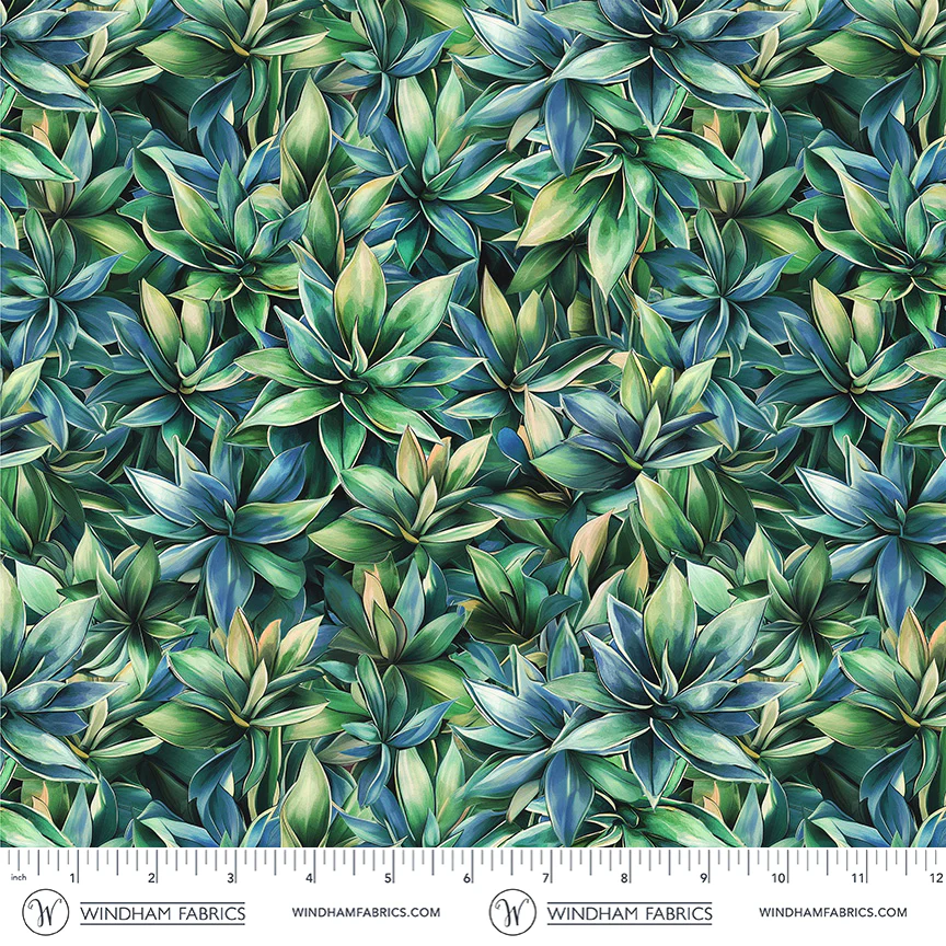 Agave