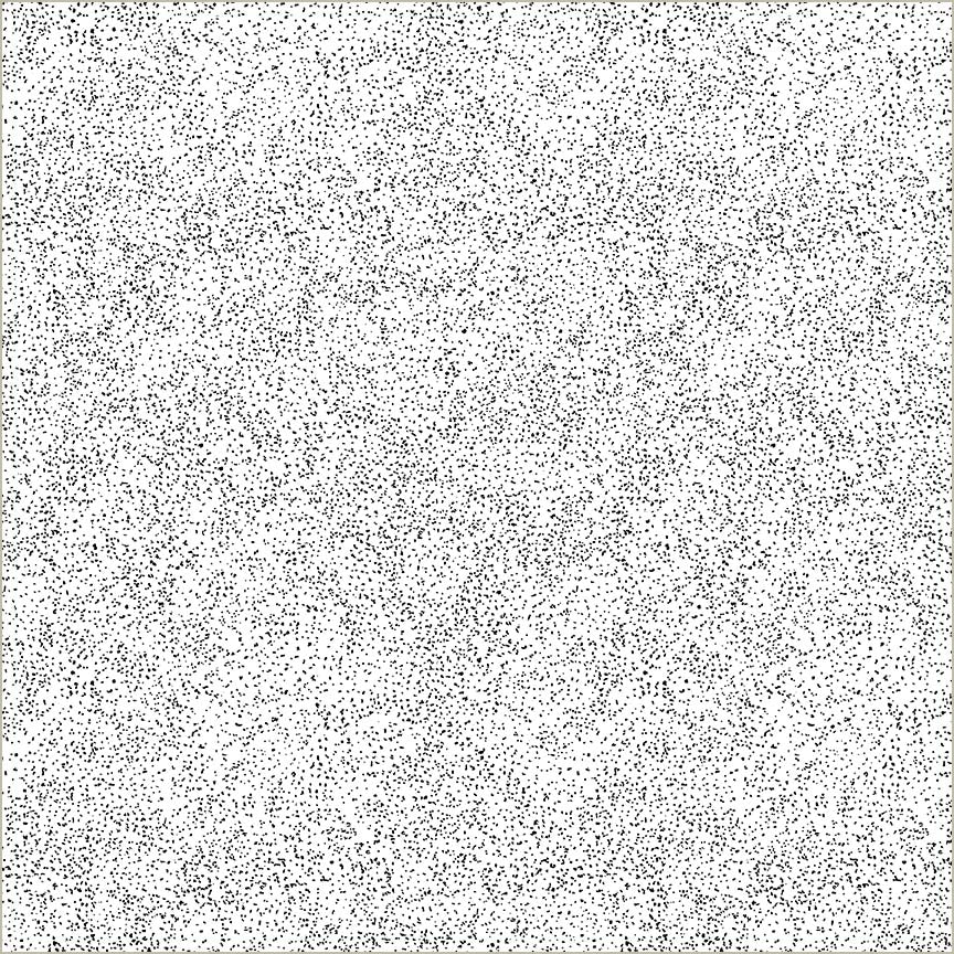 Speck