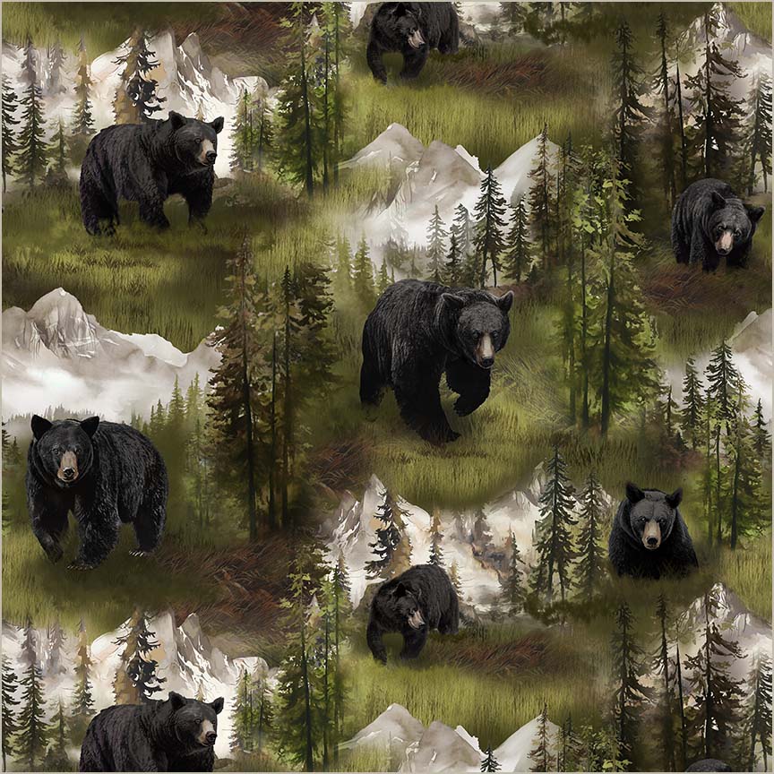 Black Bear