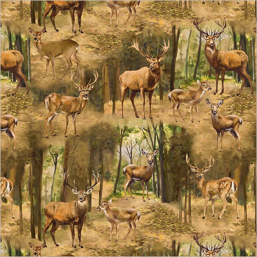 Distinguished Deer