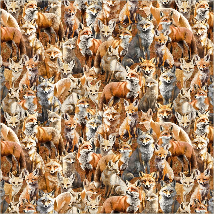 Sly Fox