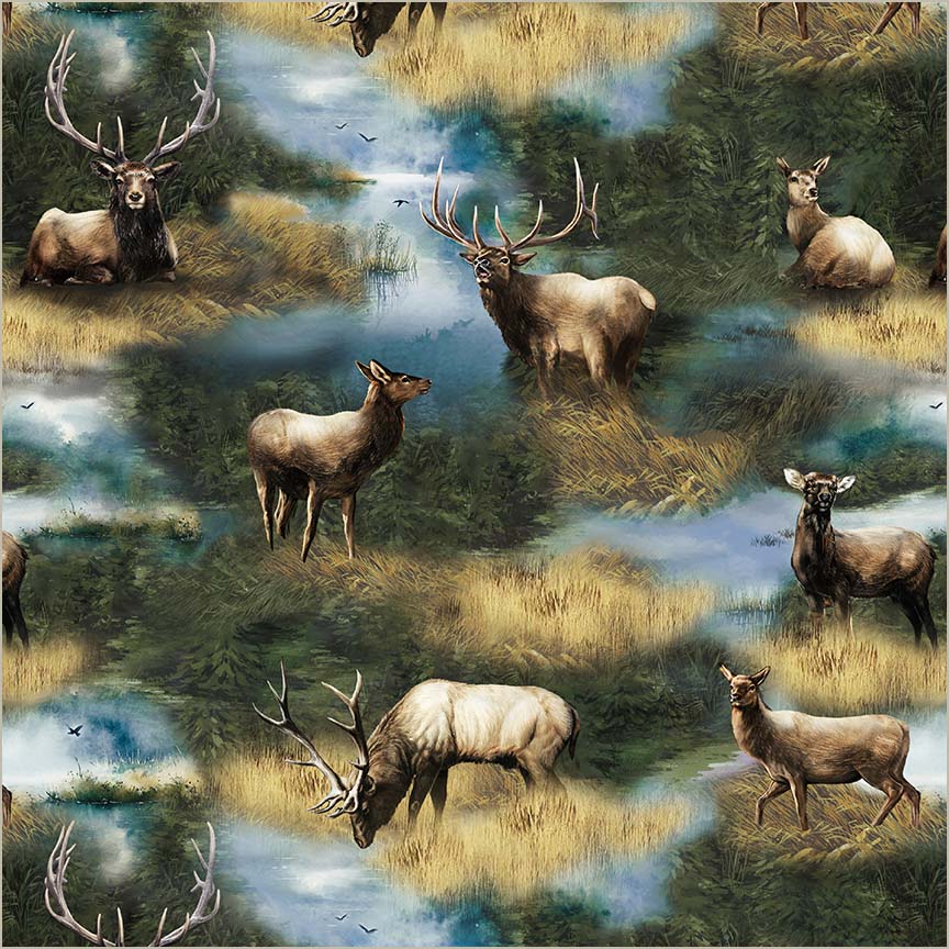 Elegant Elk