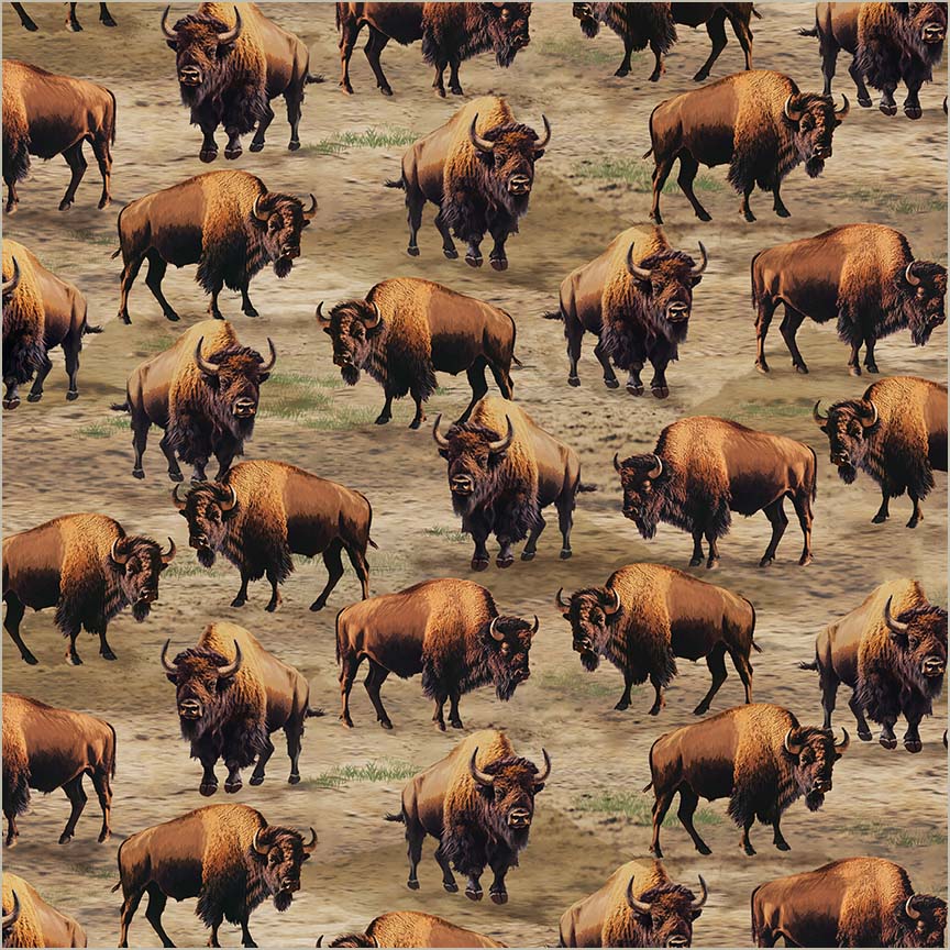 Burly Bison