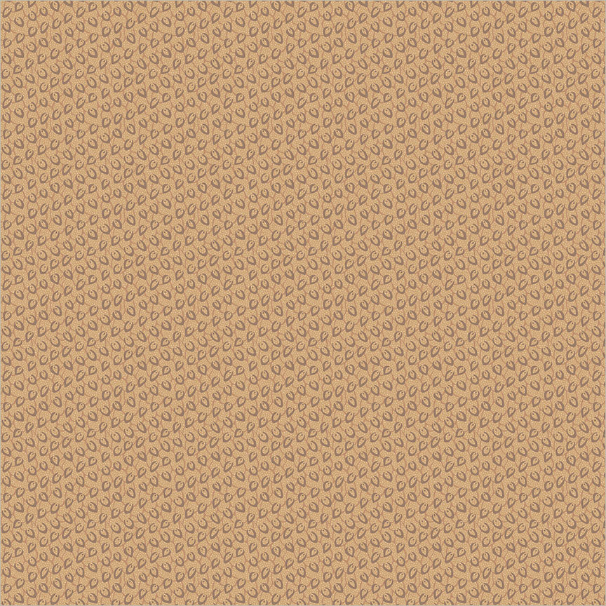 Seed